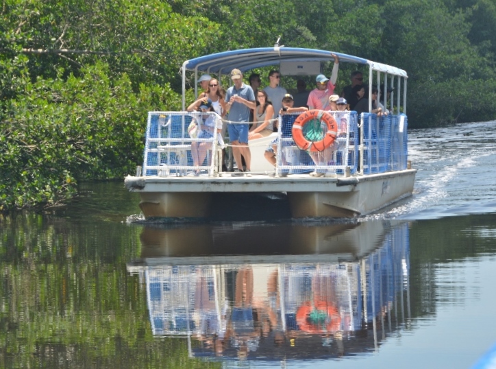 ride through the Everglades